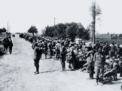 Sierpień 1920 r. Jeńcy sowieccy wzięci do niewoli pod Radzyminem. Źródło: Centralne Archiwum Wojskowe WBH