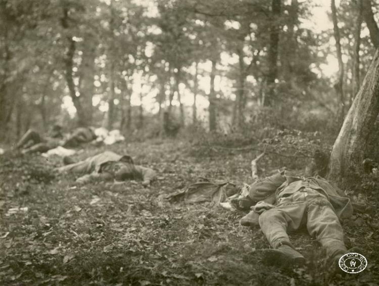 Pobojowisko pod Kozinkiem. 22.05.1915 r. Źródło: CAW