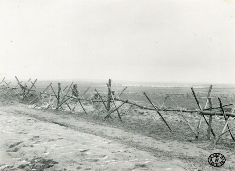 Zasieki z drutu kolczastego przed okopami I Brygady Legionów Polskich. Pawłowice, pozycje nad Nidą. 29.03.1915 r. Źródło: CAW