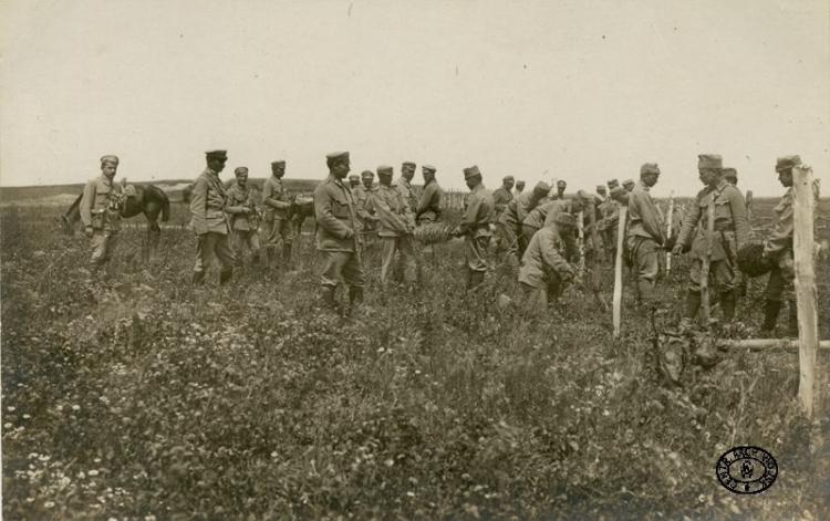 Legioniści z I Brygady Legionów Polskich rozciągają druty kolczaste na drugiej linii obronnej. Wolica, k. Konar. Maj, 1915 r. Źródło: CAW