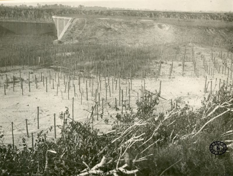 Druty i zasieki przed jednym z fortów twierdzy Brześć. Koroszczyn. 30.08.1915 r. Źródło: CAW.jpg