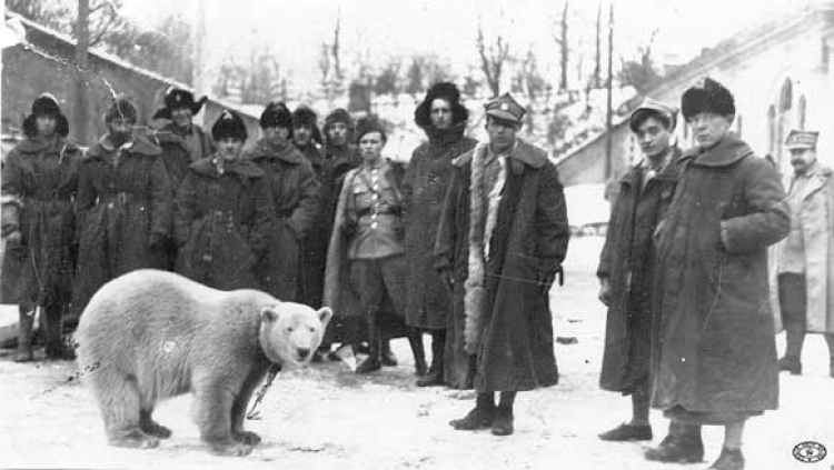 Murmańczycy w Modlinie po przybyciu do kraju. Styczeń 1920 r. Źródło: CAW