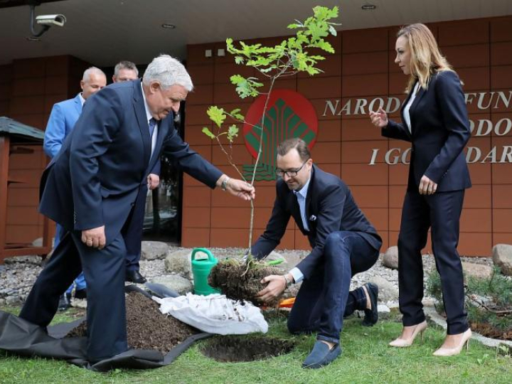 Wiceminister środowiska Sławomir Mazurek (2P), prezes NFOŚiGW Kazimierz Kujda (L) i zastępca prezesa NFOŚiGW Anna Ewa Król (P) podczas inauguracji ogólnopolskiej akcji NFOŚiGW „100 tysięcy drzew na 100-lecie niepodległości Polski 1918-2018”. Fot. PAP/P. Supernak
